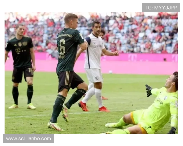 波鸿vs达姆斯塔特：客队争冠势头猛，主队保级压力大